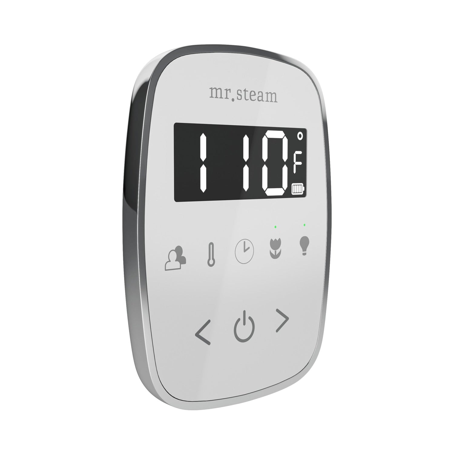 Mr. Steam TempoFlex Steam Shower Control and Steamhead