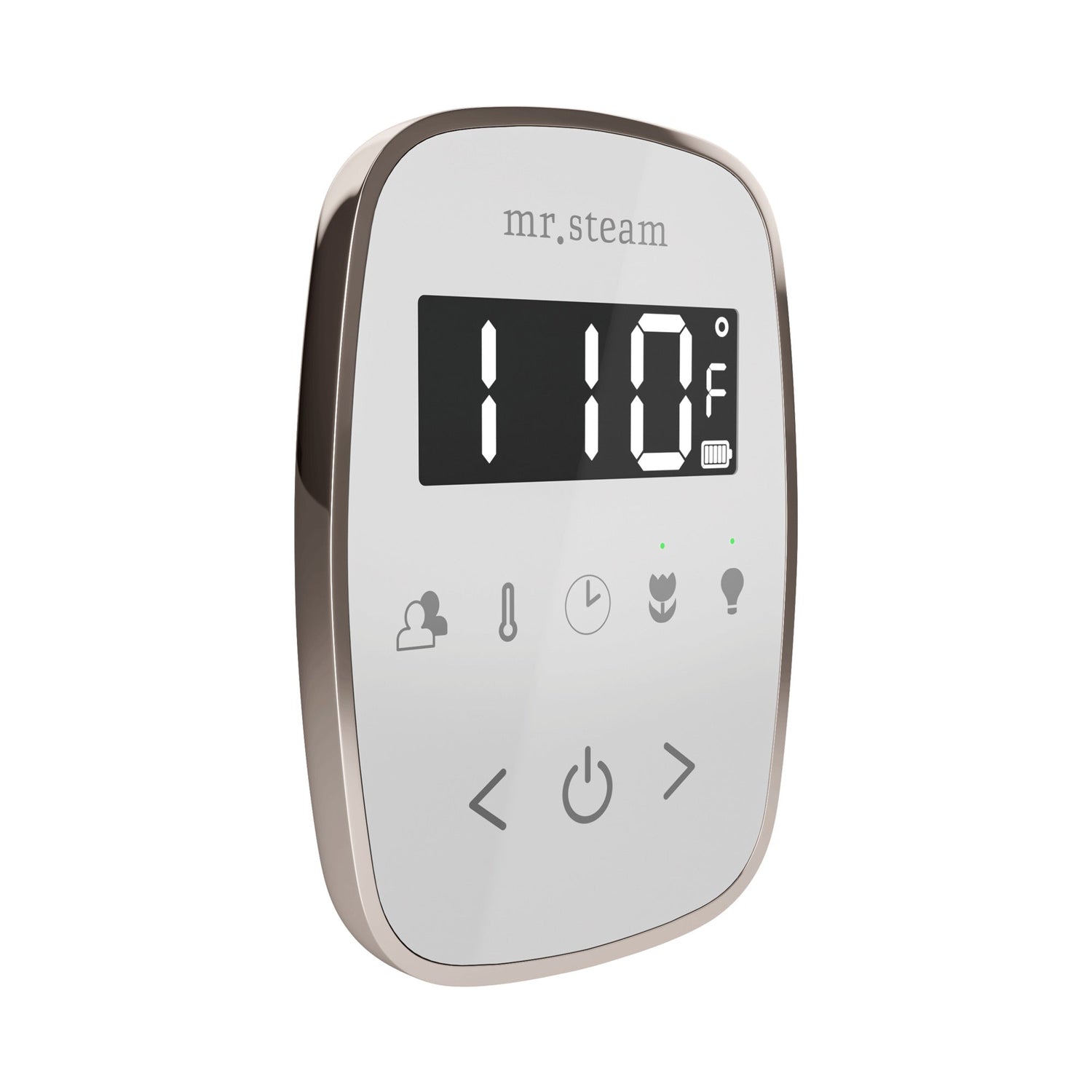 Mr. Steam TempoFlex Steam Shower Control and Steamhead
