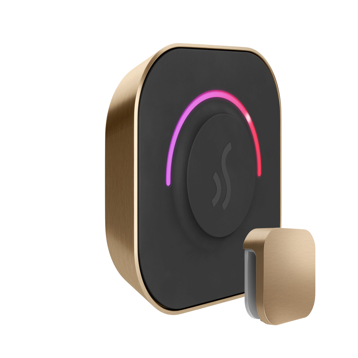 Mr. Steam TempoTouch Steam Shower Control and Steamhead