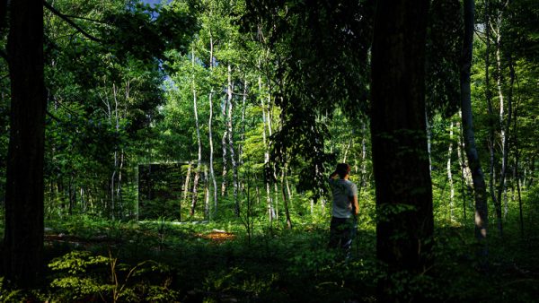 ThermaSol Vue Outdoor Sauna