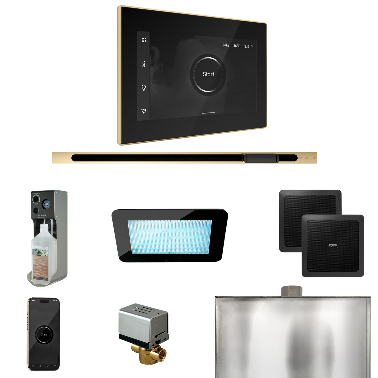 Mr. Steam XDream Steam Shower Control Package with iSteamX Control and Linear Steamhead