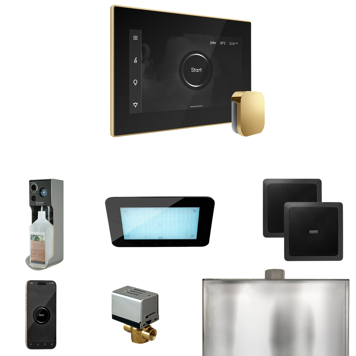 Mr. Steam XDream Steam Shower Control Package with iSteamX Control and Steamhead