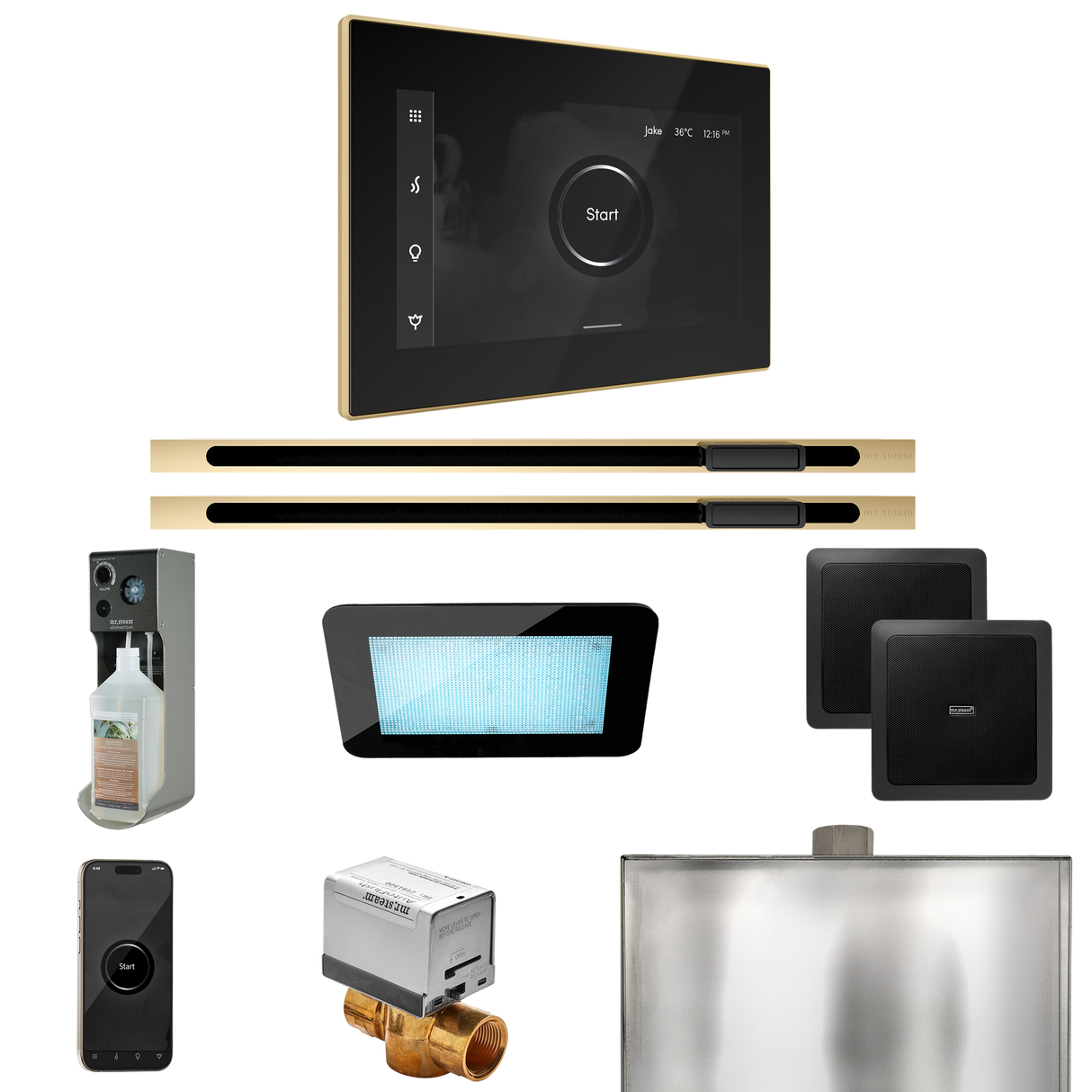 Mr. Steam XDream Max Steam Shower Control Package with iSteamX Control and Linear Steamhead