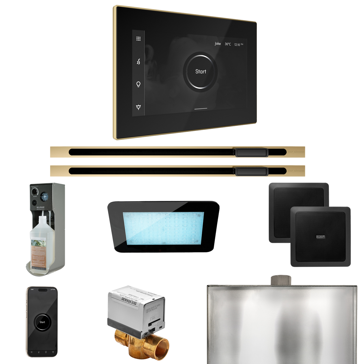 Mr. Steam XDream Max Steam Shower Control Package with iSteamX Control and Linear Steamhead
