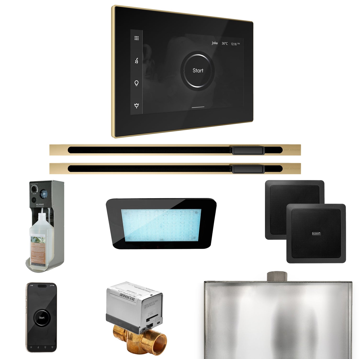 Mr. Steam XDream Max Steam Shower Control Package with iSteamX Control and Linear Steamhead