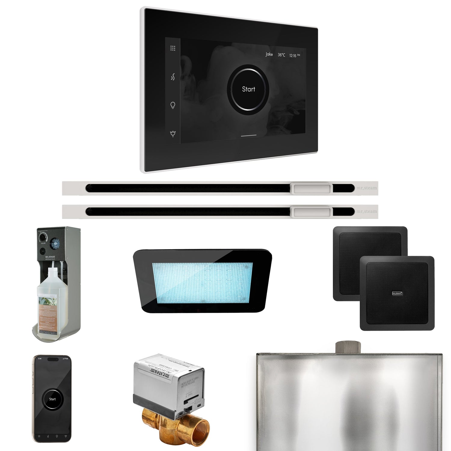 Mr. Steam XDream Max Steam Shower Control Package with iSteamX Control and Linear Steamhead