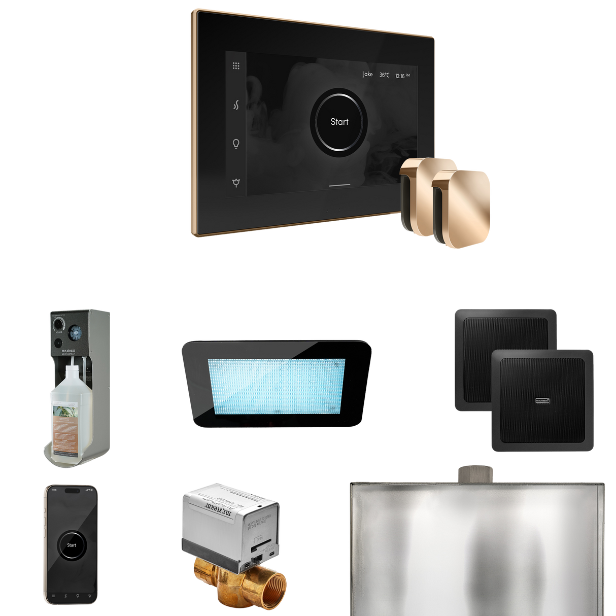 Mr. Steam XDream Max Steam Shower Control Package with iSteamX Control and Steamhead