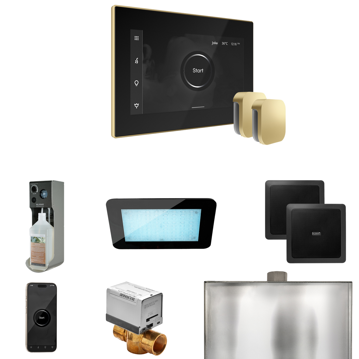 Mr. Steam XDream Max Steam Shower Control Package with iSteamX Control and Steamhead