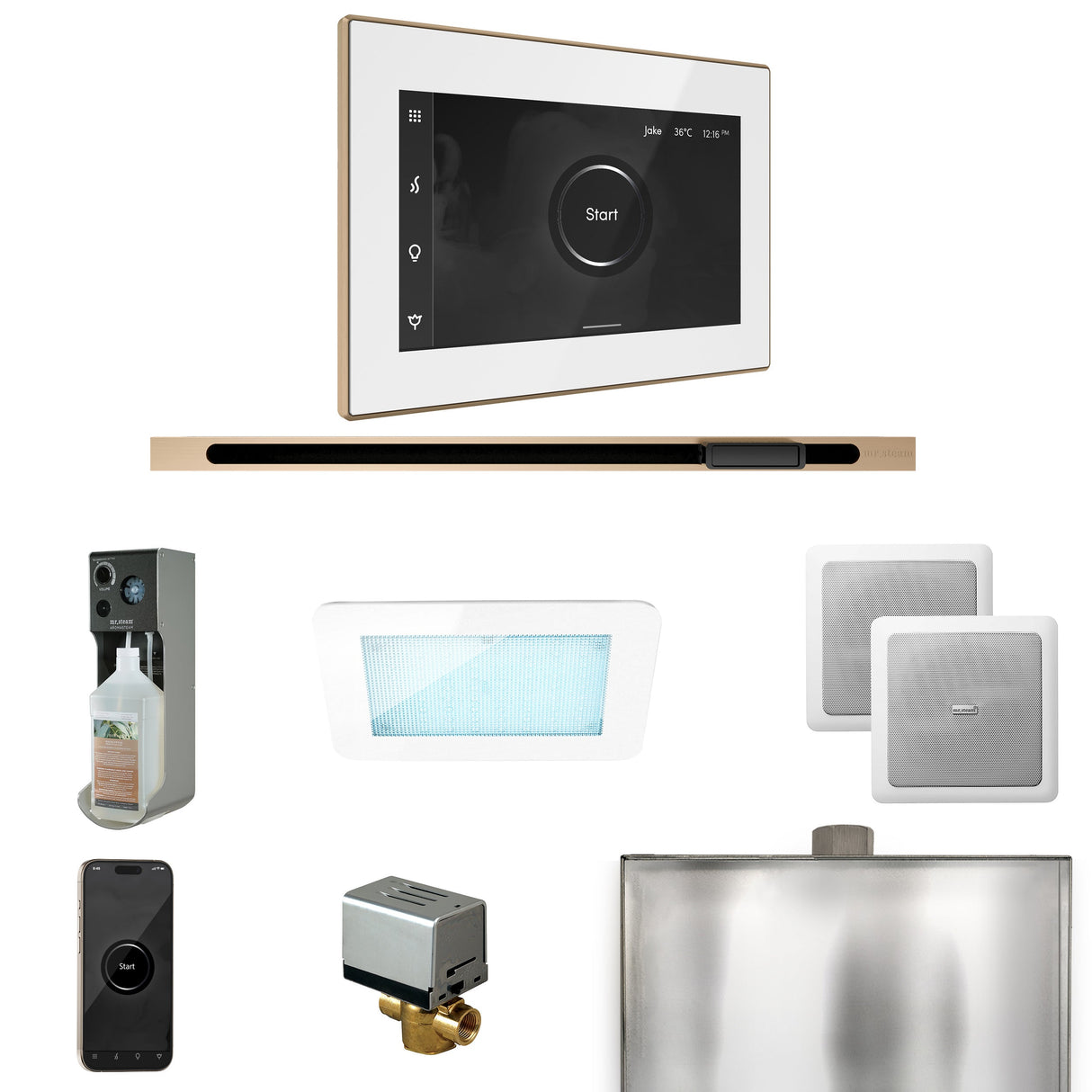 Mr. Steam XDream Steam Shower Control Package with iSteamX Control and Linear Steamhead
