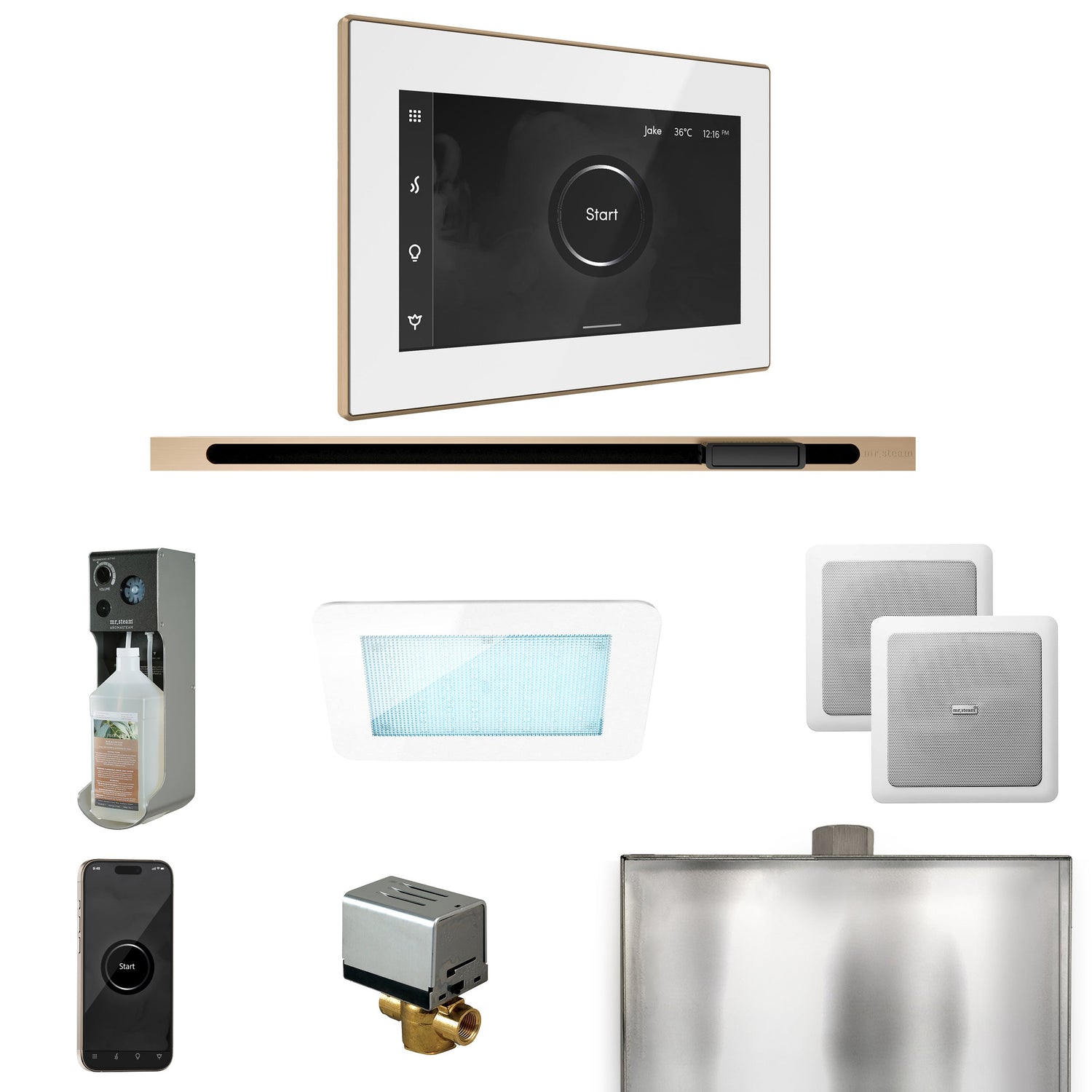 Mr. Steam XDream Steam Shower Control Package with iSteamX Control and Linear Steamhead