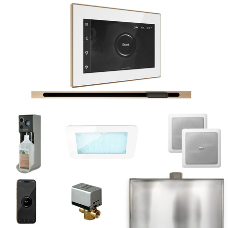 Mr. Steam XDream Steam Shower Control Package with iSteamX Control and Linear Steamhead