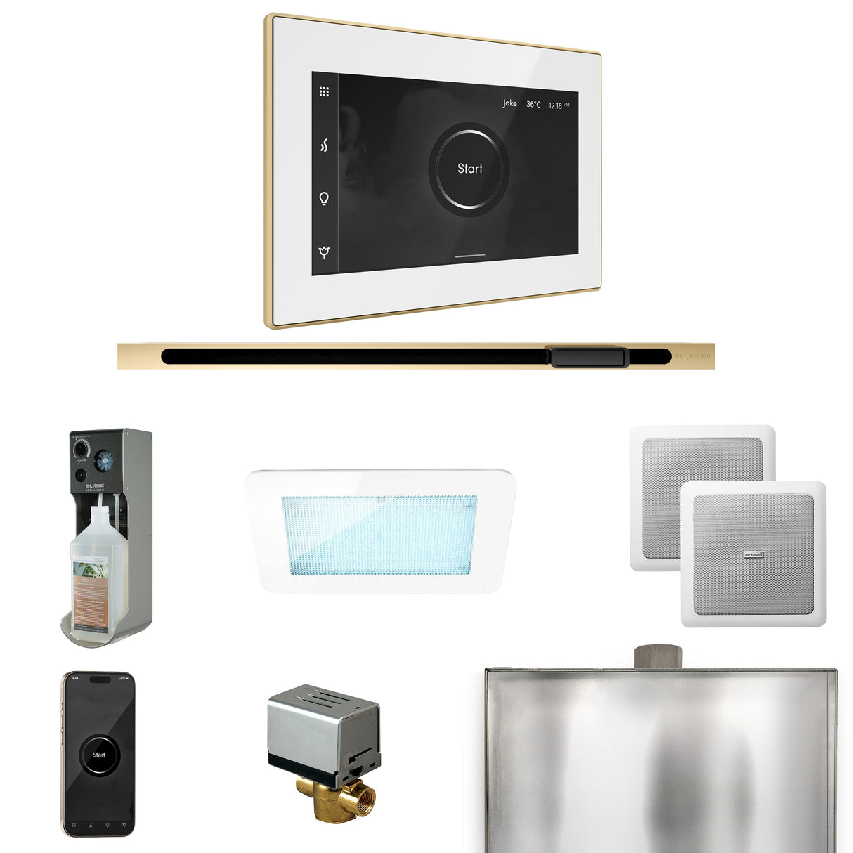 Mr. Steam XDream Steam Shower Control Package with iSteamX Control and Linear Steamhead