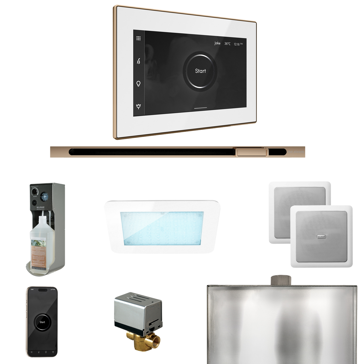 Mr. Steam XDream Steam Shower Control Package with iSteamX Control and Linear Steamhead