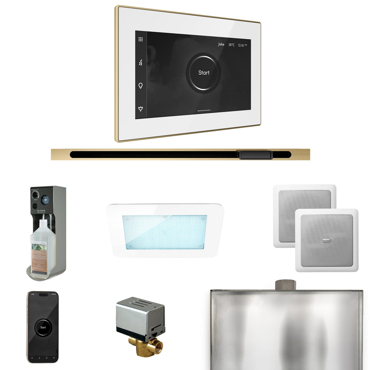 Mr. Steam XDream Steam Shower Control Package with iSteamX Control and Linear Steamhead