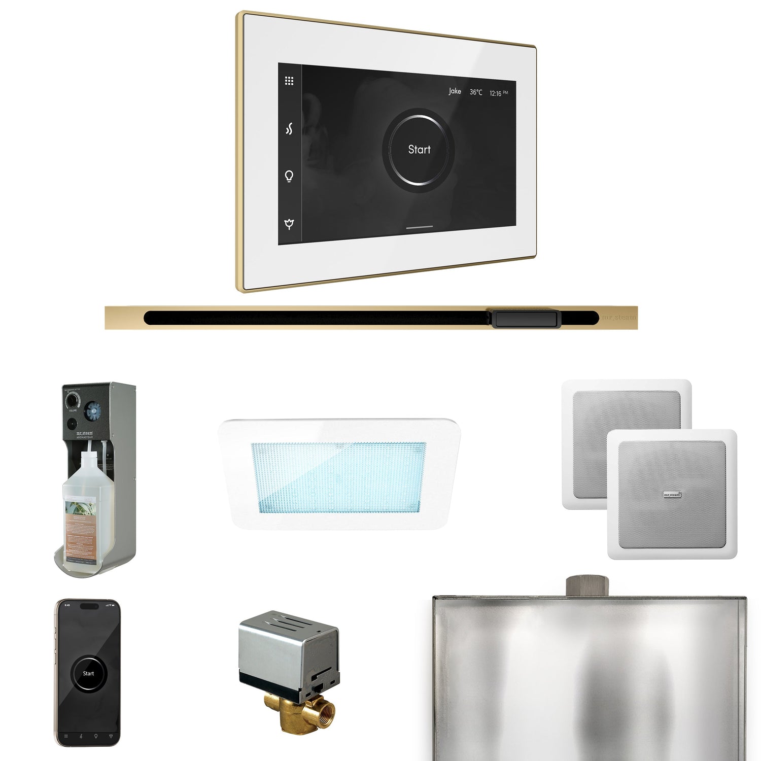 Mr. Steam XDream Steam Shower Control Package with iSteamX Control and Linear Steamhead