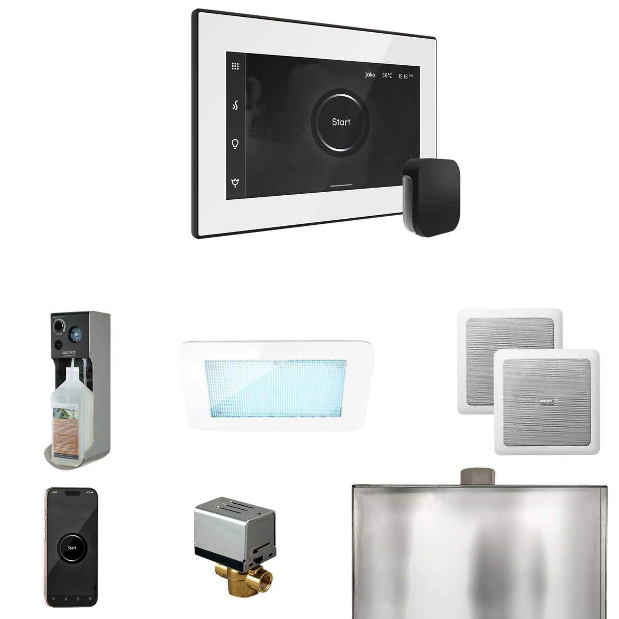 Mr. Steam XDream Steam Shower Control Package with iSteamX Control and Steamhead