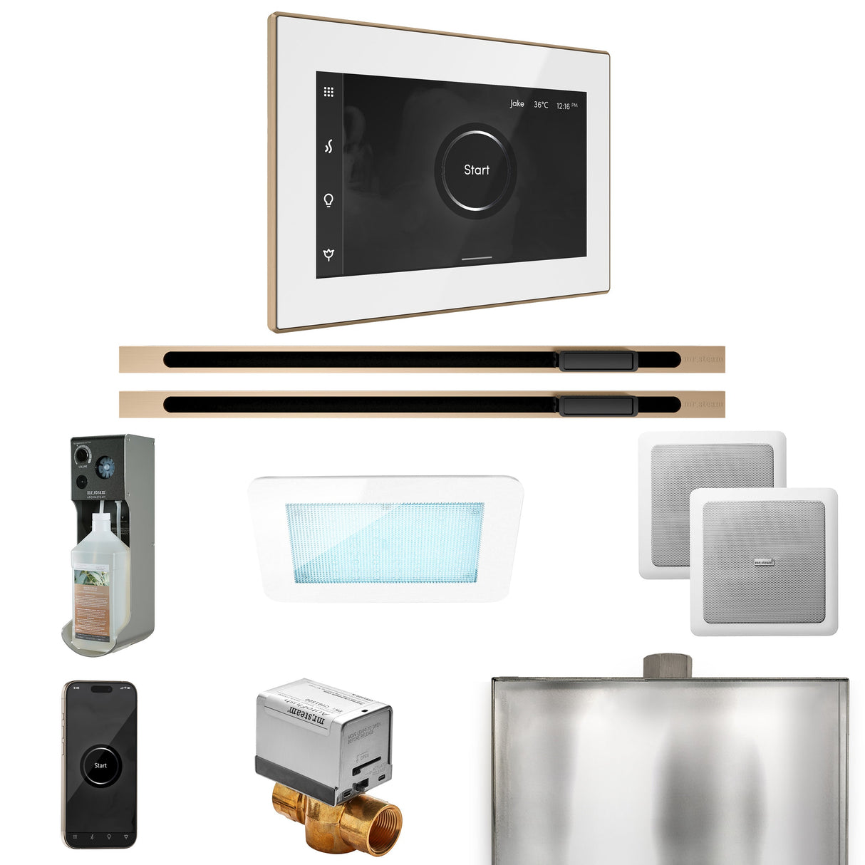 Mr. Steam XDream Max Steam Shower Control Package with iSteamX Control and Linear Steamhead
