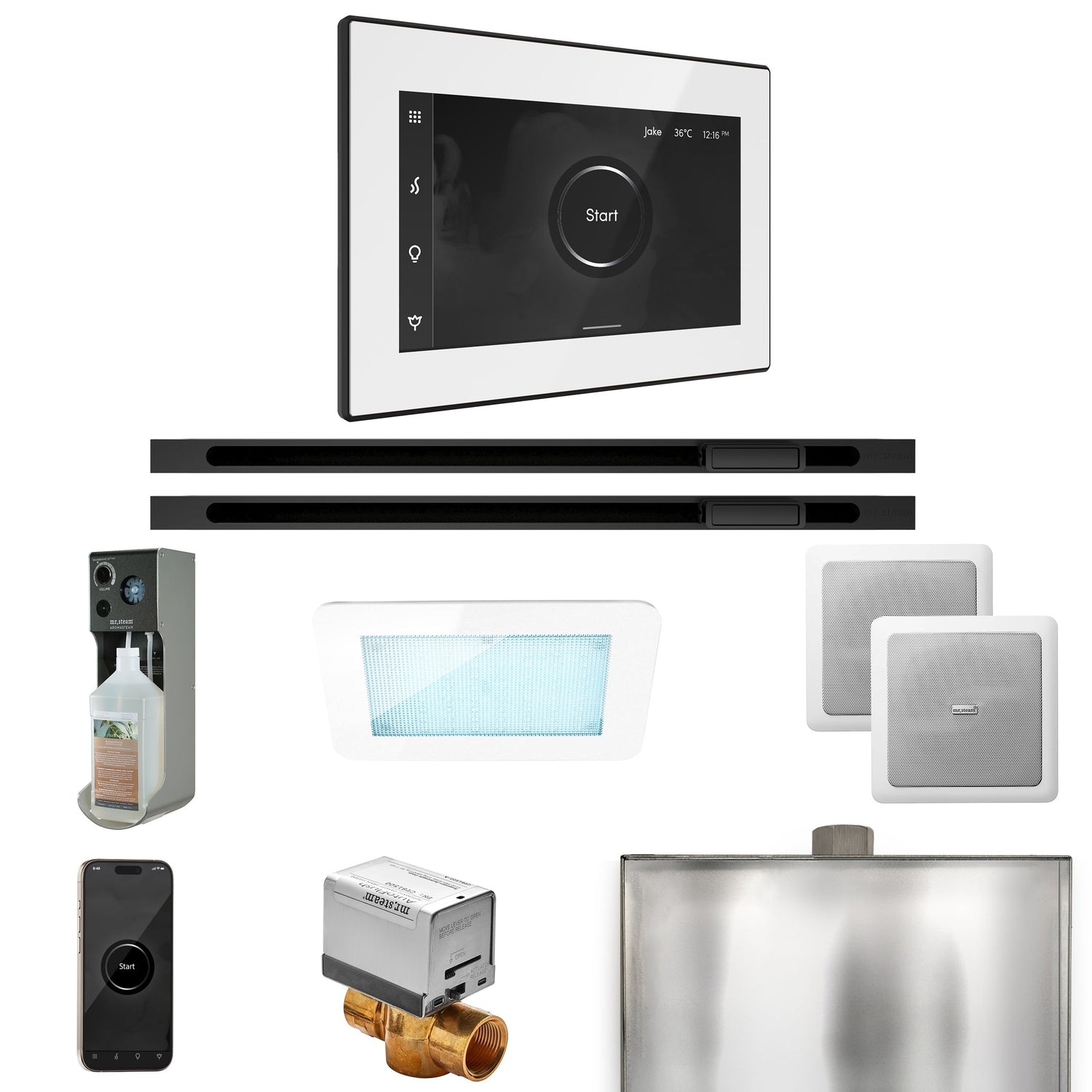 Mr. Steam XDream Max Steam Shower Control Package with iSteamX Control and Linear Steamhead