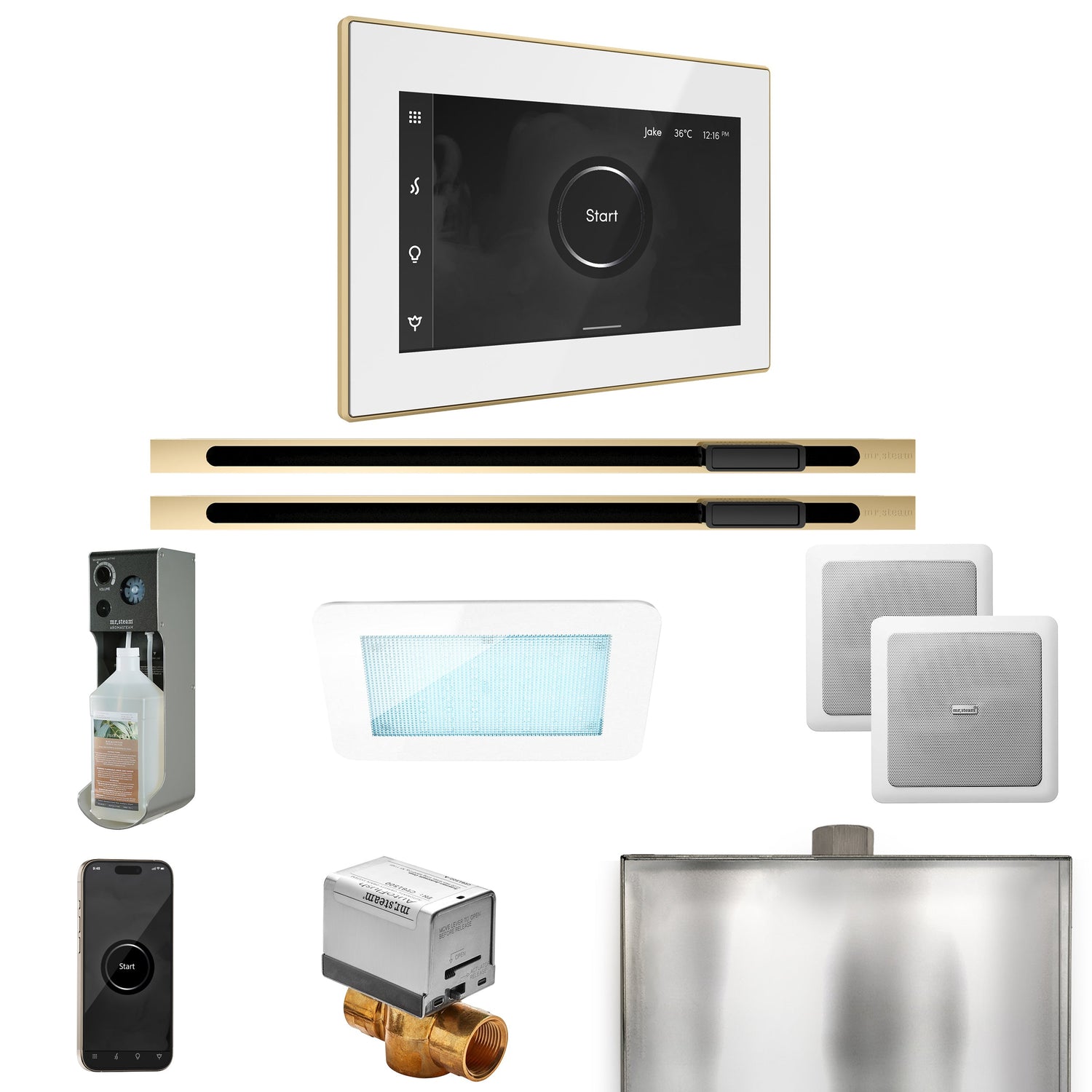 Mr. Steam XDream Max Steam Shower Control Package with iSteamX Control and Linear Steamhead