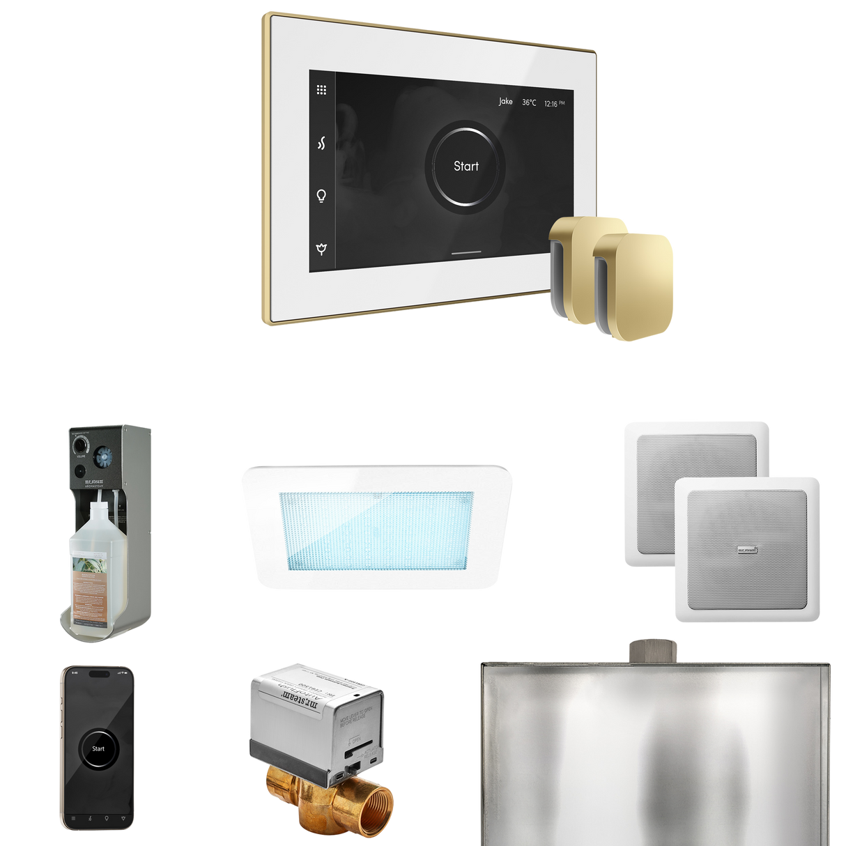 Mr. Steam XDream Max Steam Shower Control Package with iSteamX Control and Steamhead