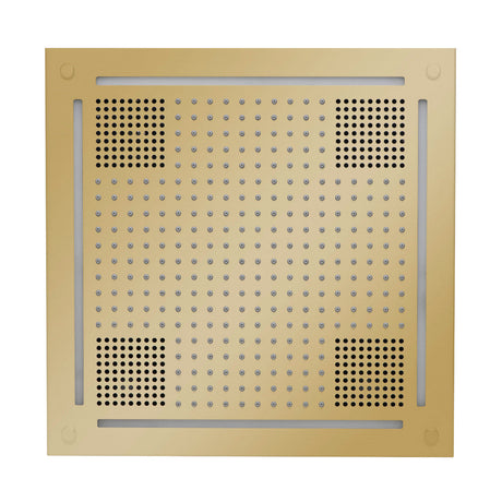 ThermaSol HVLSRSQ HydroVive 18 Rainhead