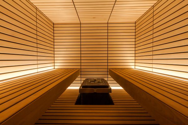 ThermaSol Lindea View Indoor Sauna