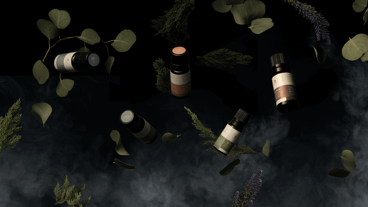 Steam Shower Aromatherapy: Essential Oils, Systems & Tips