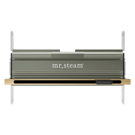 Mr. Steam Linear 16 in. W. Steamhead with AromaTherapy Reservoir