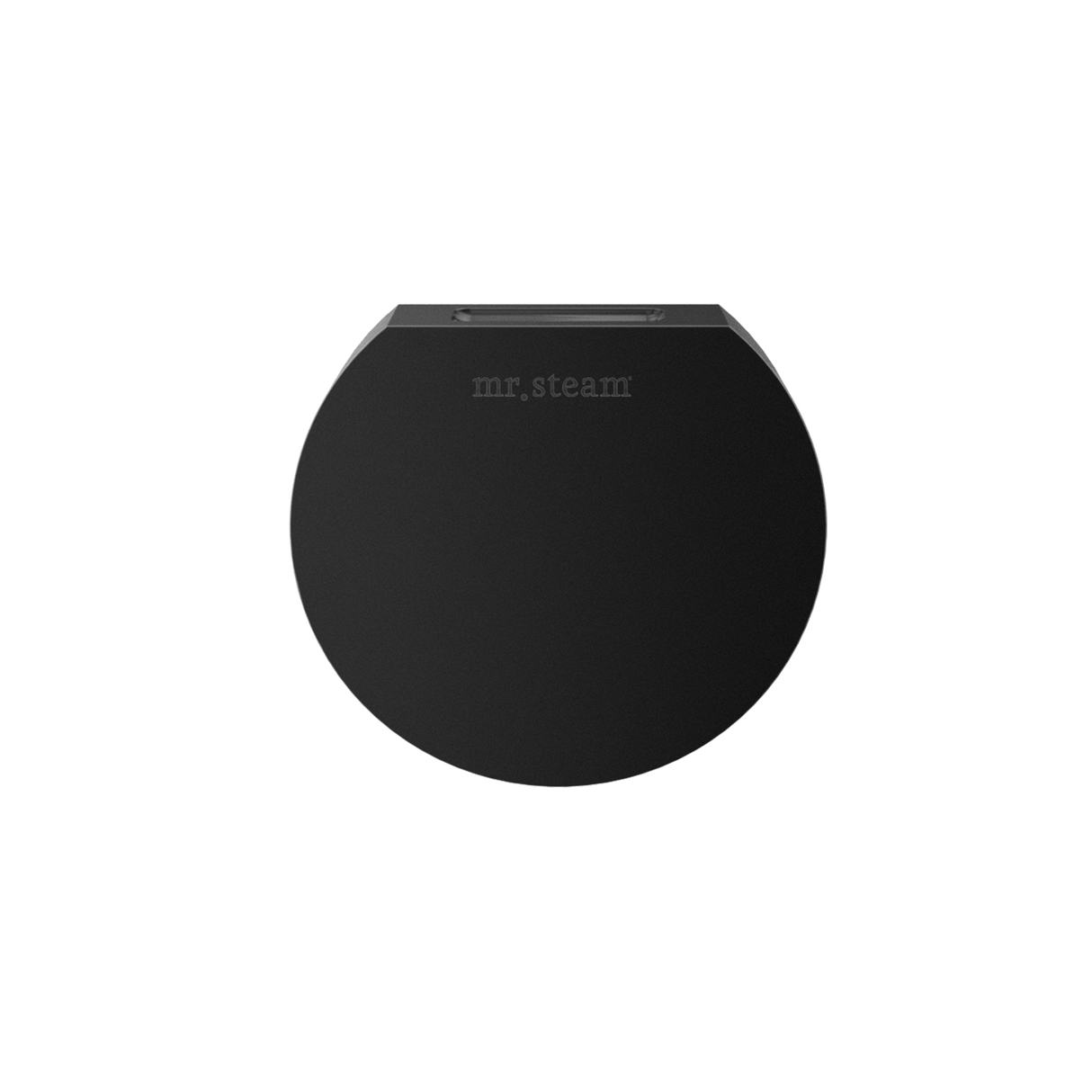 Mr. Steam Designer Round 3 in. Steamhead with AromaTherapy Reservoir