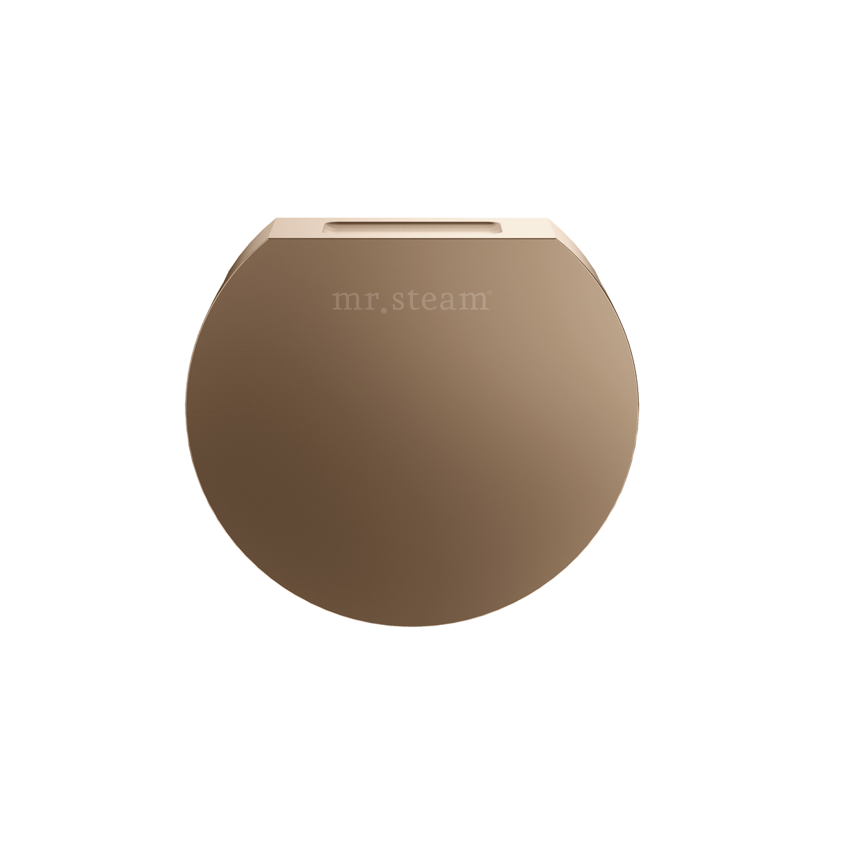 Mr. Steam Designer Round 3 in. Steamhead with AromaTherapy Reservoir