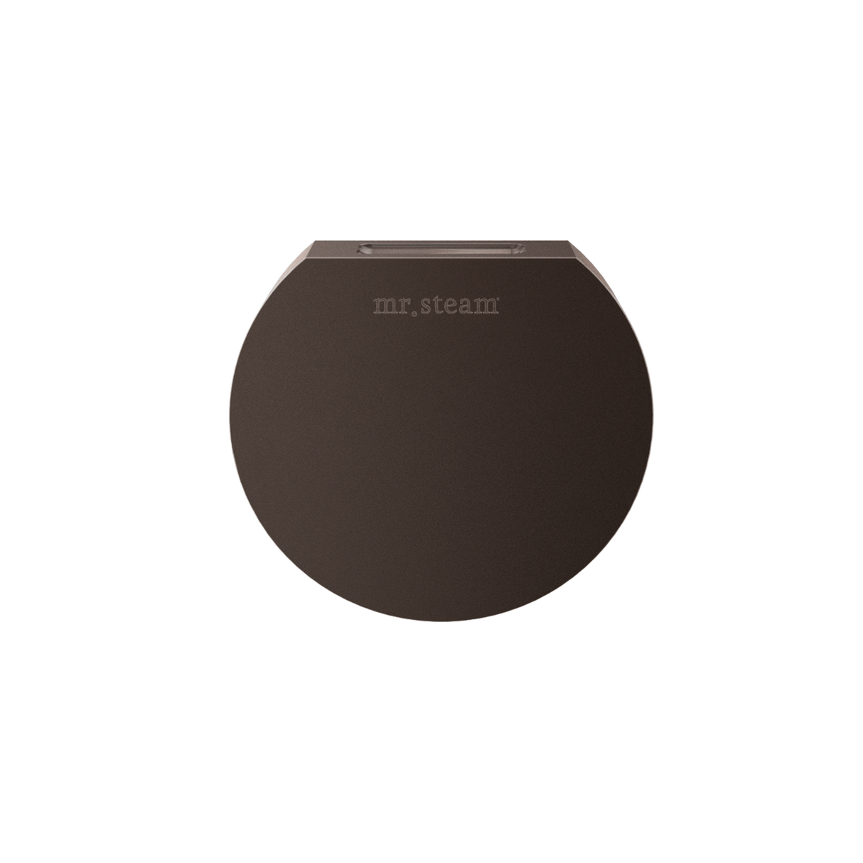 Mr. Steam Designer Round 3 in. Steamhead with AromaTherapy Reservoir