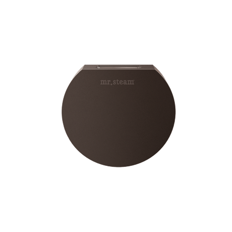 Mr. Steam Designer Round 3 in. Steamhead with AromaTherapy Reservoir