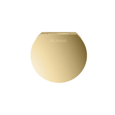 Mr. Steam Designer Round 3 in. Steamhead with AromaTherapy Reservoir