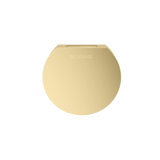 Mr. Steam Designer Round 3 in. Steamhead with AromaTherapy Reservoir