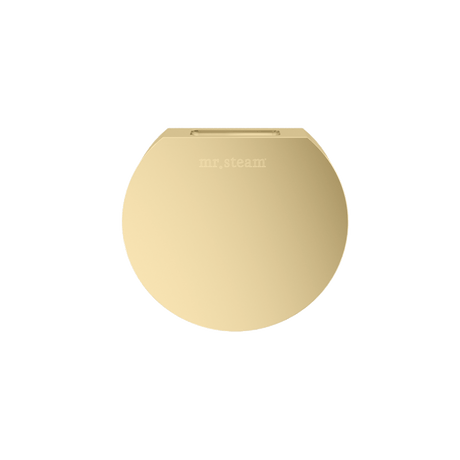 Mr. Steam Designer Round 3 in. Steamhead with AromaTherapy Reservoir