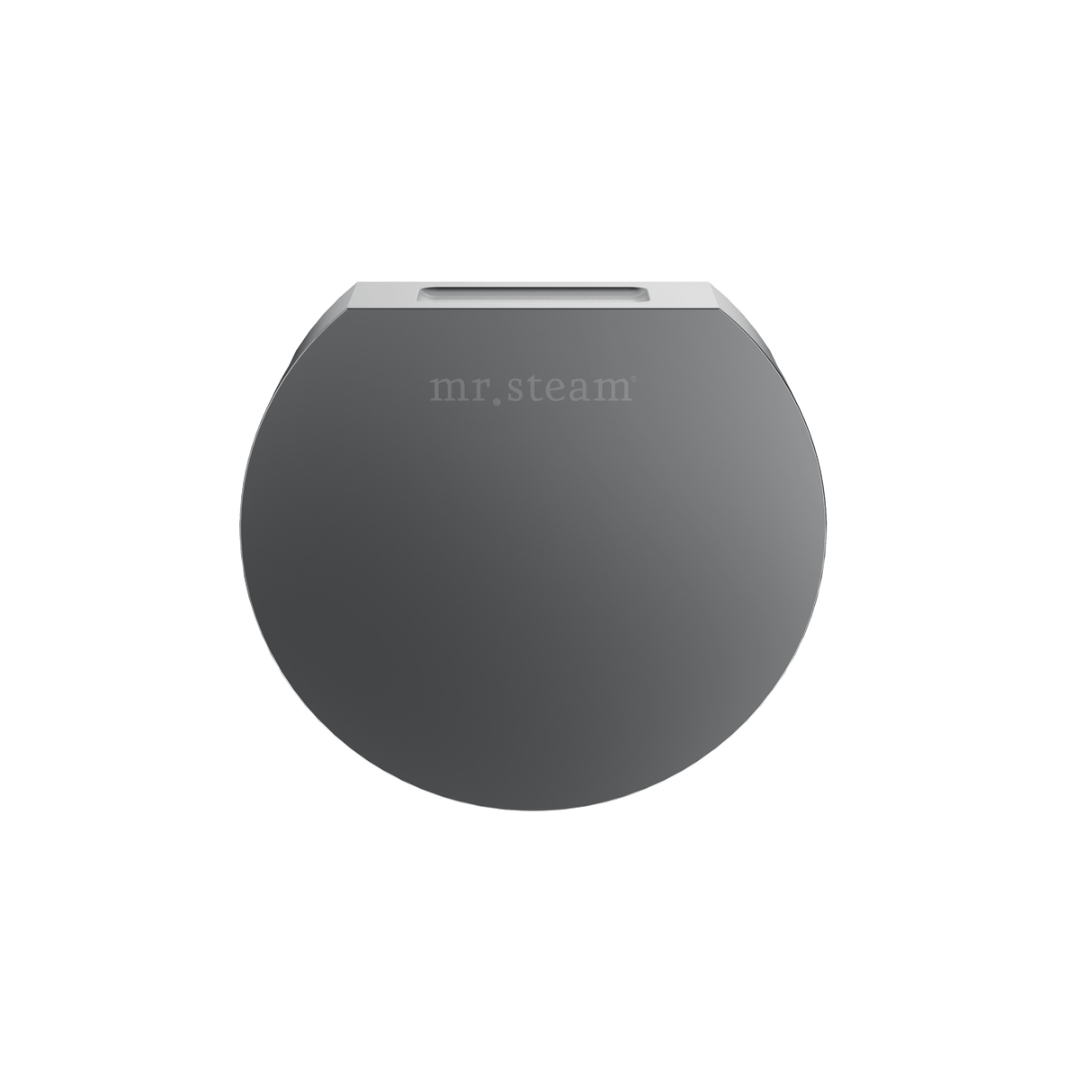 Mr. Steam Designer Round 3 in. Steamhead with AromaTherapy Reservoir