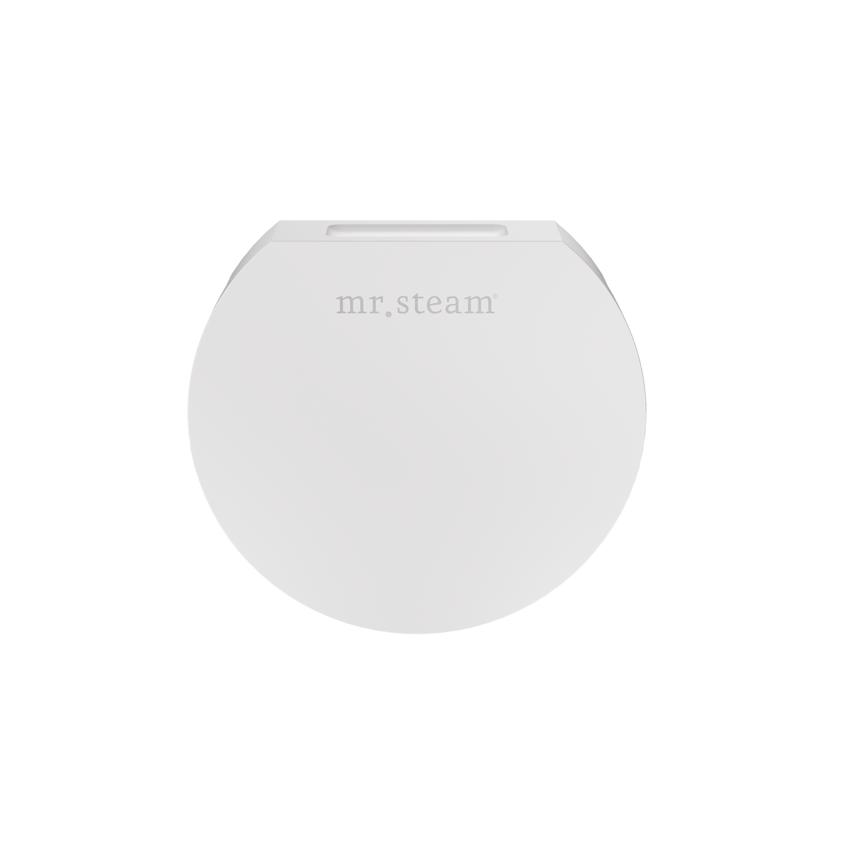 Mr. Steam Designer Round 3 in. Steamhead with AromaTherapy Reservoir