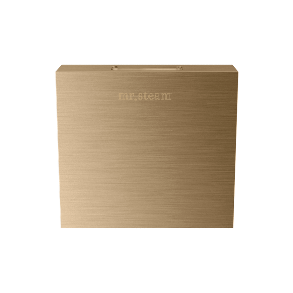 Mr. Steam Designer Square 3 in. Steamhead with AromaTherapy Reservoir