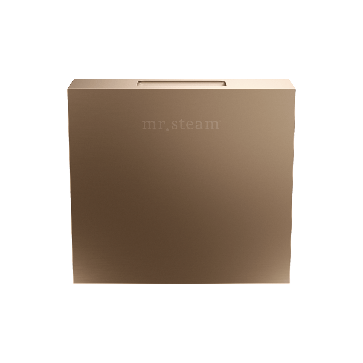 Mr. Steam Designer Square 3 in. Steamhead with AromaTherapy Reservoir