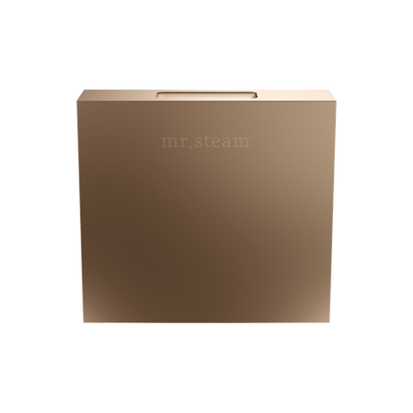 Mr. Steam Designer Square 3 in. Steamhead with AromaTherapy Reservoir