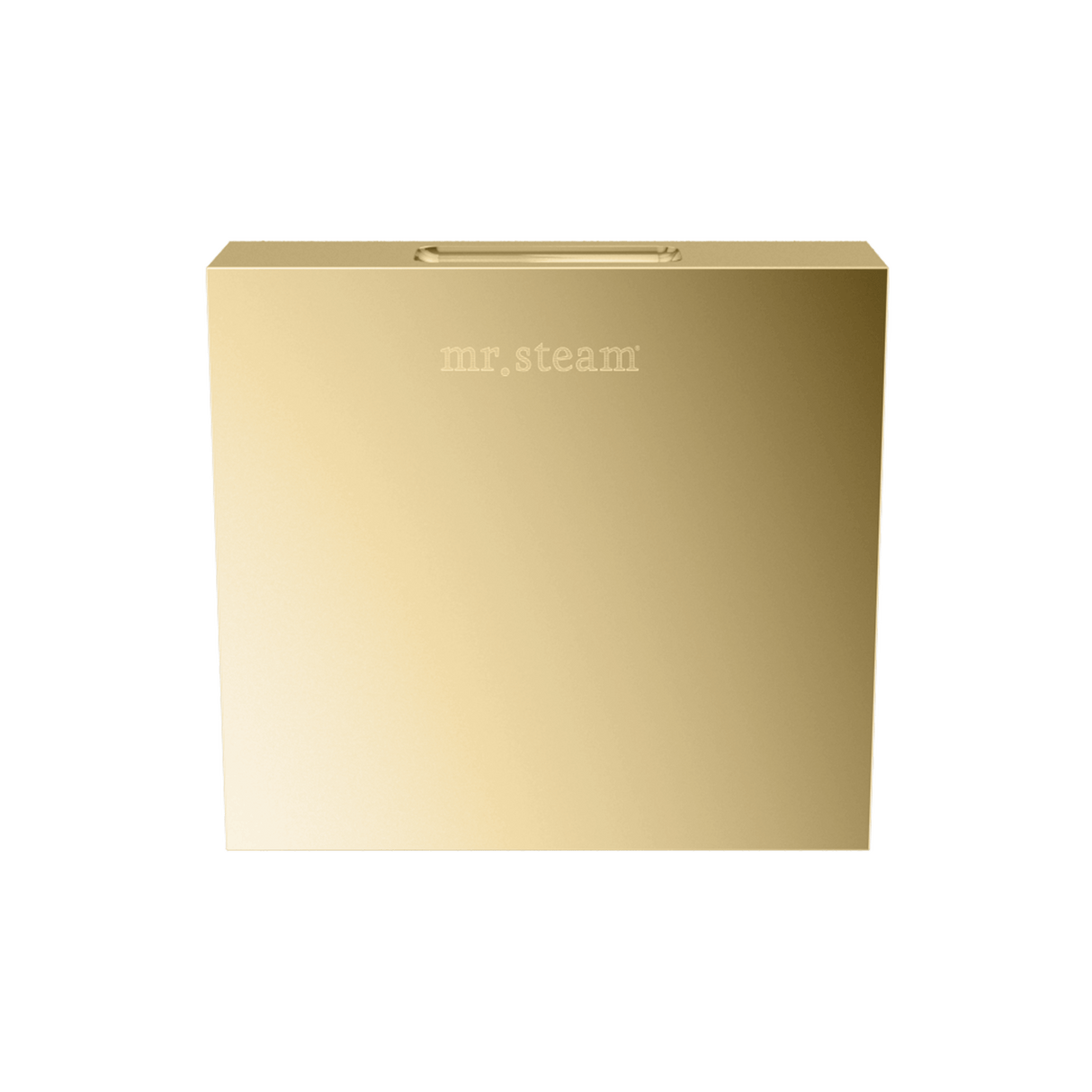Mr. Steam Designer Square 3 in. Steamhead with AromaTherapy Reservoir