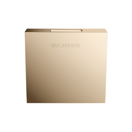 Mr. Steam Designer Square 3 in. Steamhead with AromaTherapy Reservoir