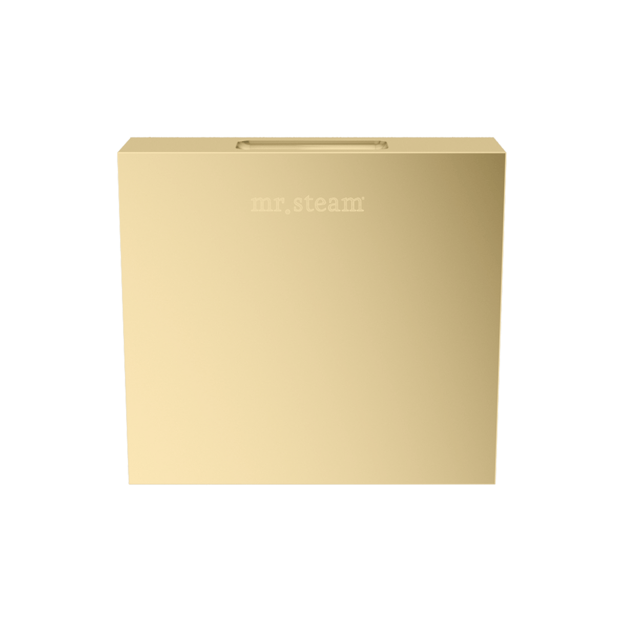 Mr. Steam Designer Square 3 in. Steamhead with AromaTherapy Reservoir