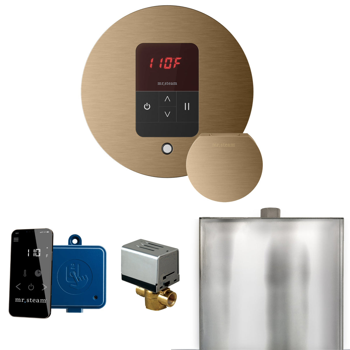 Mr. Steam Basic Butler Steam Shower Control Package with iTempo Control and Steamhead