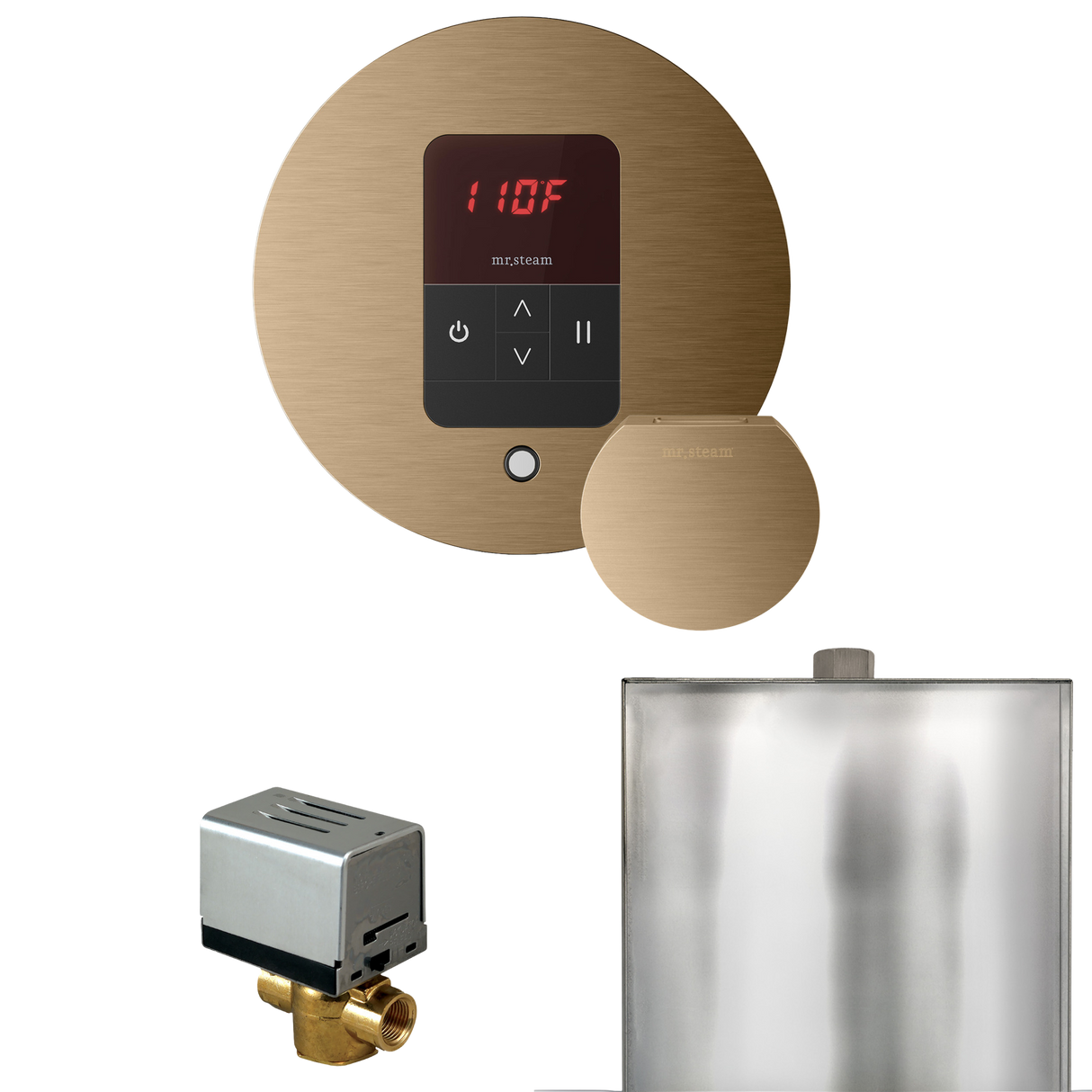 Mr. Steam Basic Butler Steam Shower Control Package with iTempo Control and Steamhead