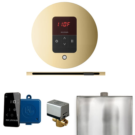 Mr. Steam Basic Butler Steam Control Package with iTempo Control and Linear Steamhead