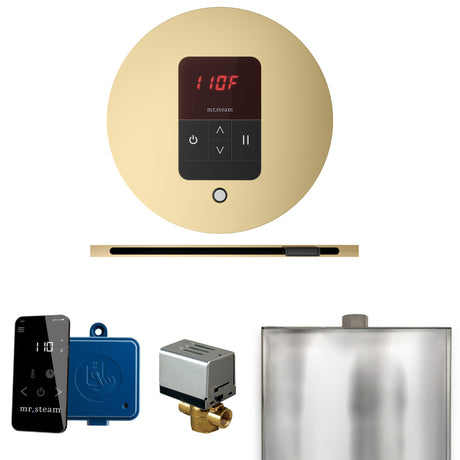 Mr. Steam Basic Butler Steam Control Package with iTempo Control and Linear Steamhead