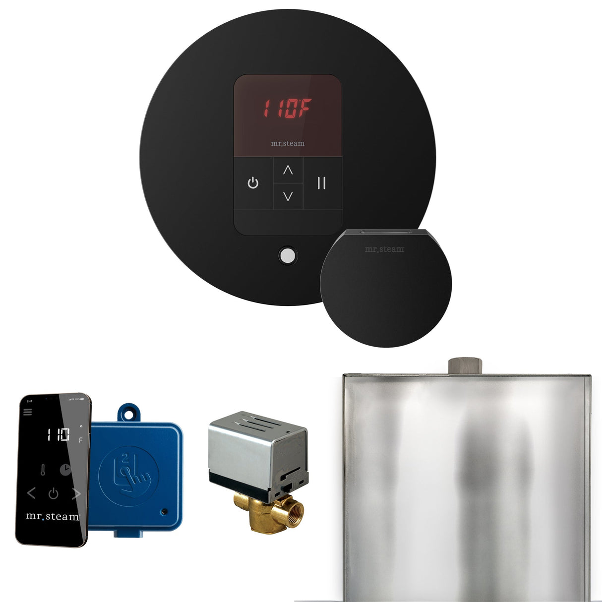Mr. Steam Basic Butler Steam Shower Control Package with iTempo Control and Steamhead