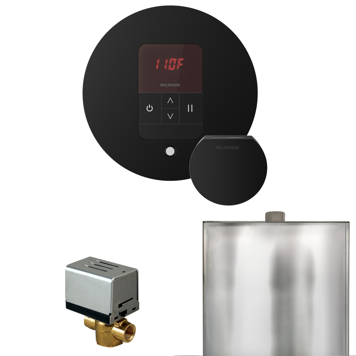 Mr. Steam Basic Butler Steam Shower Control Package with iTempo Control and Steamhead