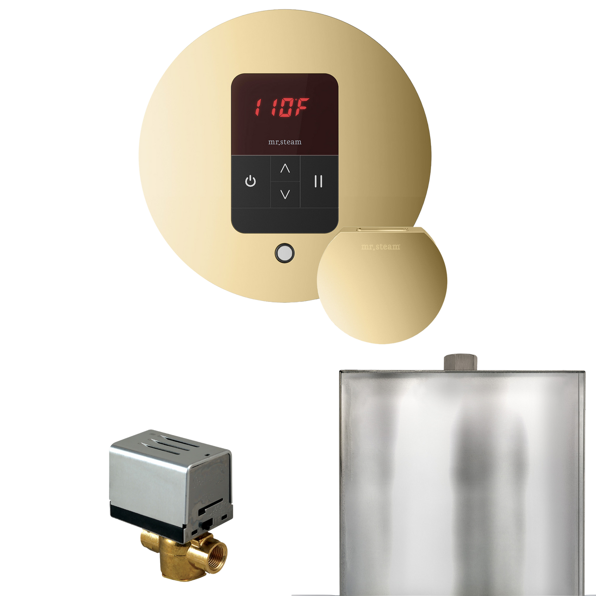 Mr. Steam Basic Butler Steam Shower Control Package with iTempo Control and Steamhead